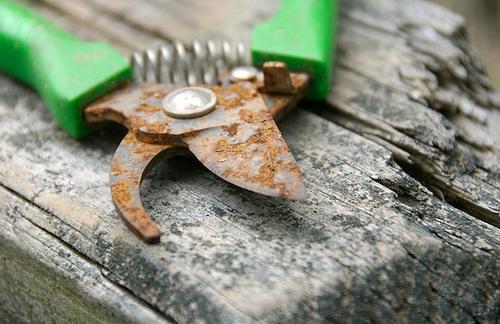 Simple Way to Remove Rust from Metal Surfaces