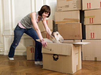 Four Helpful Tips for Moving Interstate with Your Pet