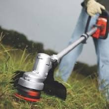 Hassle-Free Lawn Care Plano Residents Desire