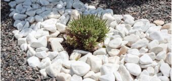 Transforming Your Outdoor Oasis: The Ultimate Guide to Using Decorative Stones for Landscaping